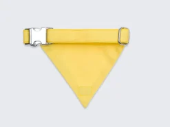 French Bandit Bandana De Sport- Bresil Fashion