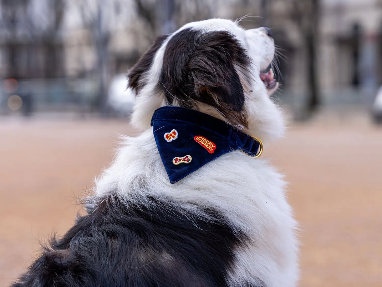 French Bandit Bandana Merry Blue Online