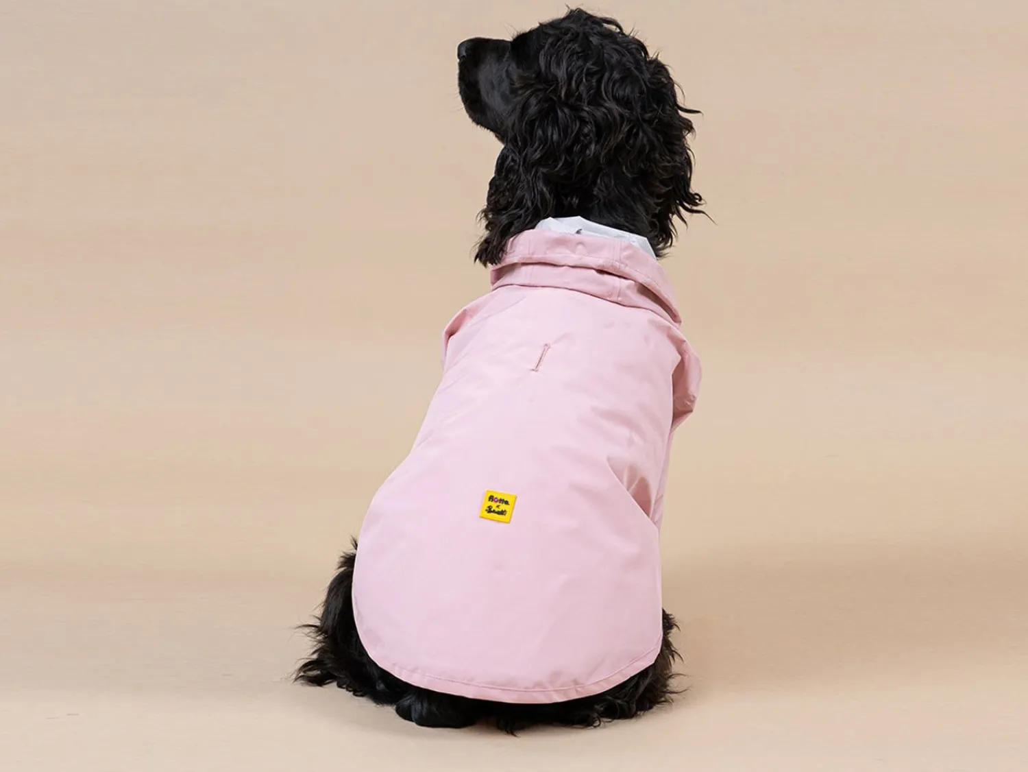 French Bandit Bandit X Flotte - L'Impermeable Store