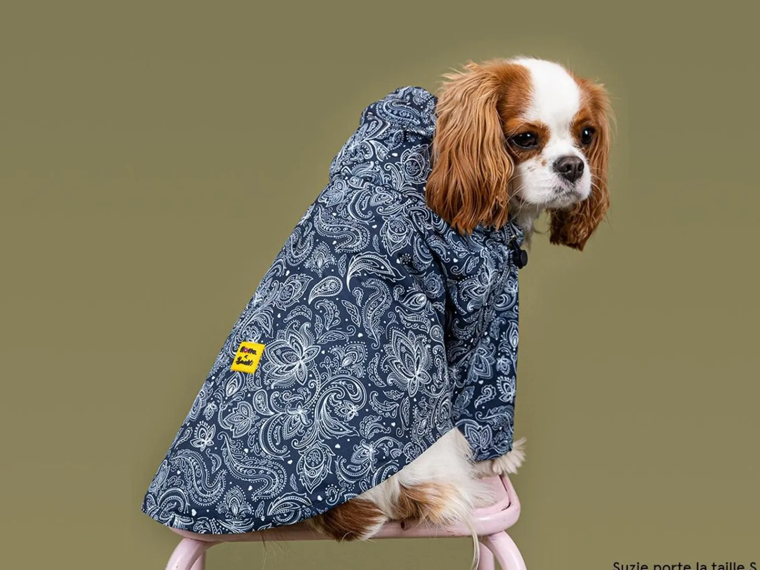 French Bandit Bandit X Flotte - L'Impermeable Store