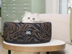 French Bandit Bandizzzz - Pour Chat Shop