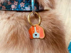 French Bandit Beaglove Discount