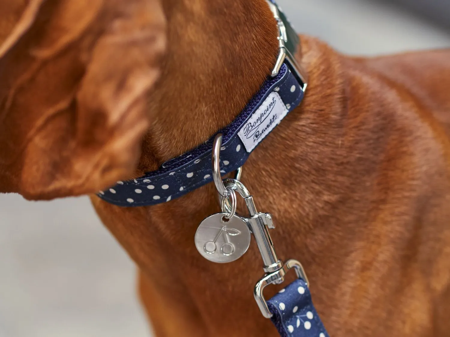 French Bandit Bonpoint Bandit - Bleu New