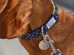 French Bandit Bonpoint Bandit - Bleu New