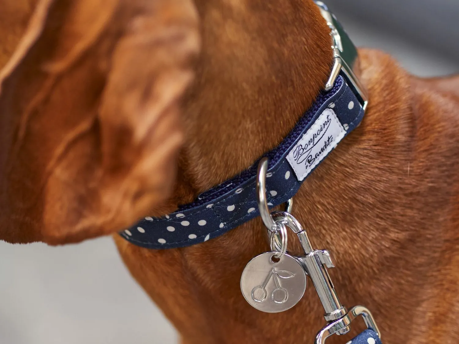 French Bandit Bonpoint Bandit - Bleu New