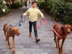 French Bandit Bonpoint Bandit - Bleu Fashion