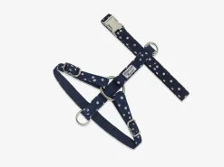 French Bandit Bonpoint Bandit - Bleu, Pour Chat Clearance