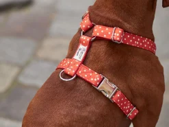 French Bandit Bonpoint Bandit - Rouge Best