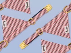 French Bandit French Banban Outlet