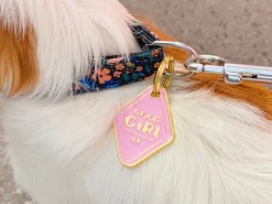 French Bandit Good Girl Best Sale