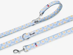 French Bandit Happy Daisy Flash Sale