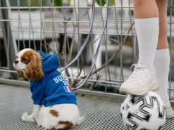 French Bandit Hoodie De Sport - France New