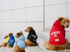 French Bandit Hoodie De Sport - France New