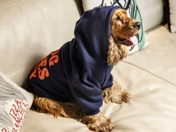 French Bandit Hoodie Le Brach X Bandit Fashion