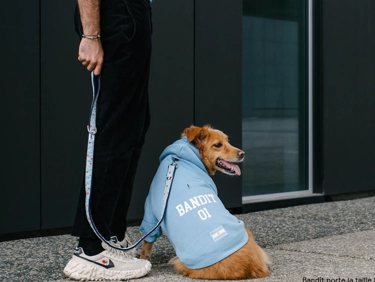 French Bandit Hoodies De Sport Online