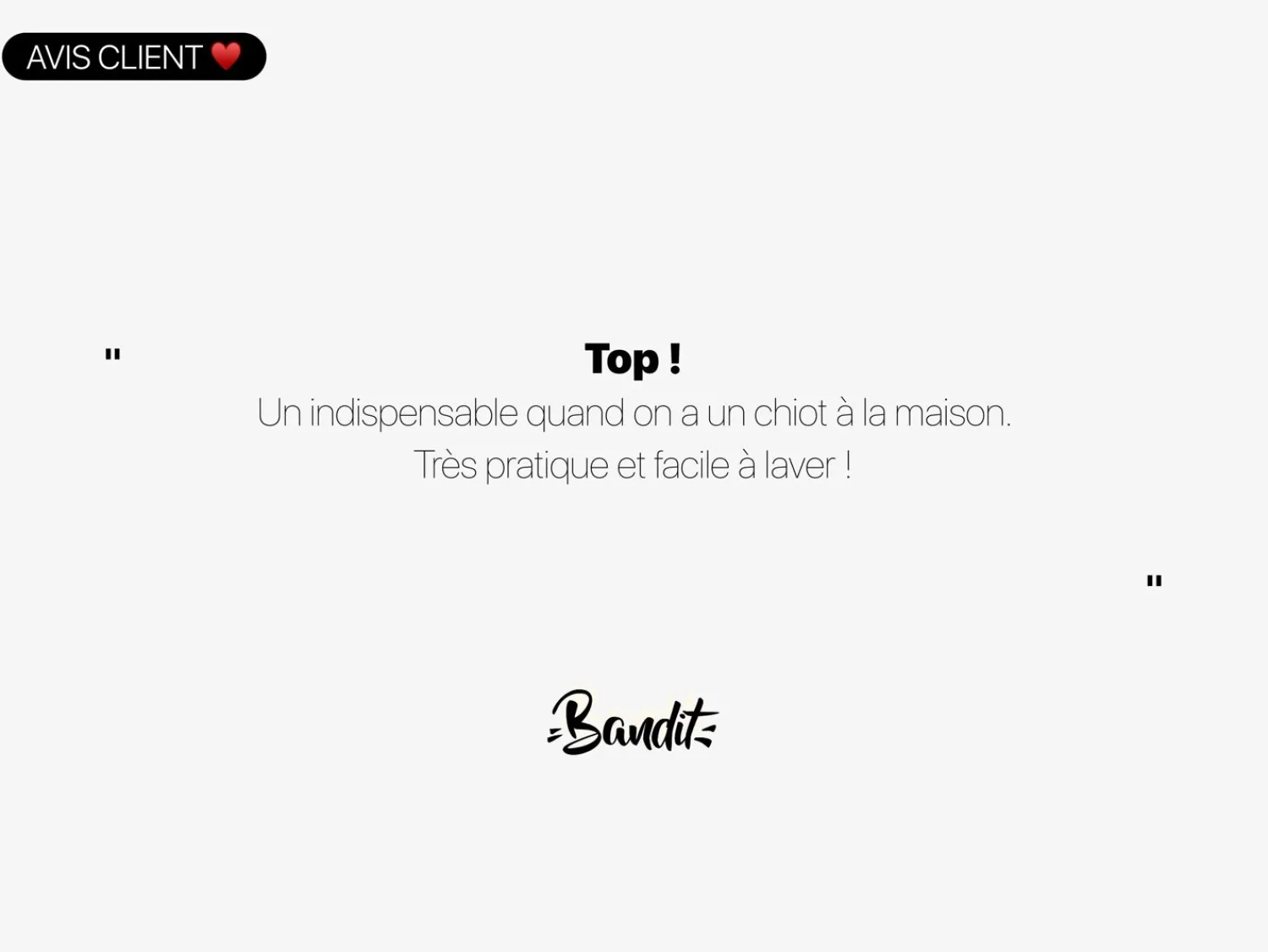 French Bandit Ici C'Est Pipi ! Flash Sale