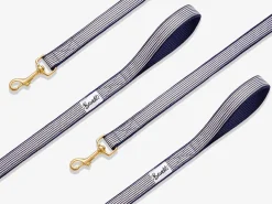 French Bandit In The Navy New