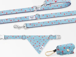French Bandit Kit Balade Bandana Shop
