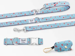French Bandit Kit Balade Collier Cheap