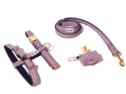 French Bandit Kit Balade Harnais Discount