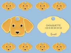 French Bandit Labradoudou Best