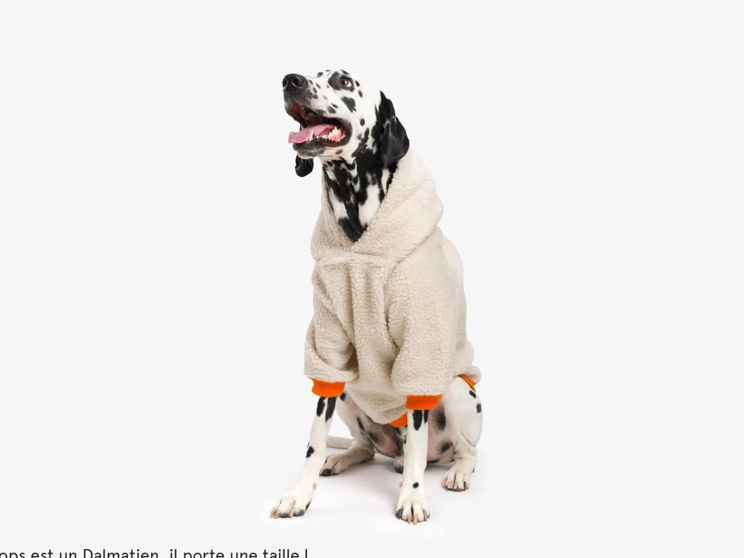 French Bandit Le Hoodie Doux Discount