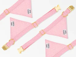 French Bandit Love Illusion Rose Sale