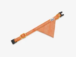 French Bandit Mango Tango Sale