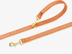 French Bandit Mango Tango Cheap