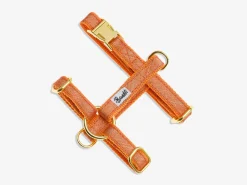 French Bandit Mango Tango Clearance
