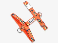 French Bandit Neon Jungle Cheap