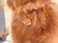 French Bandit Roucky Cheap