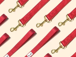 French Bandit So Red Chic Online