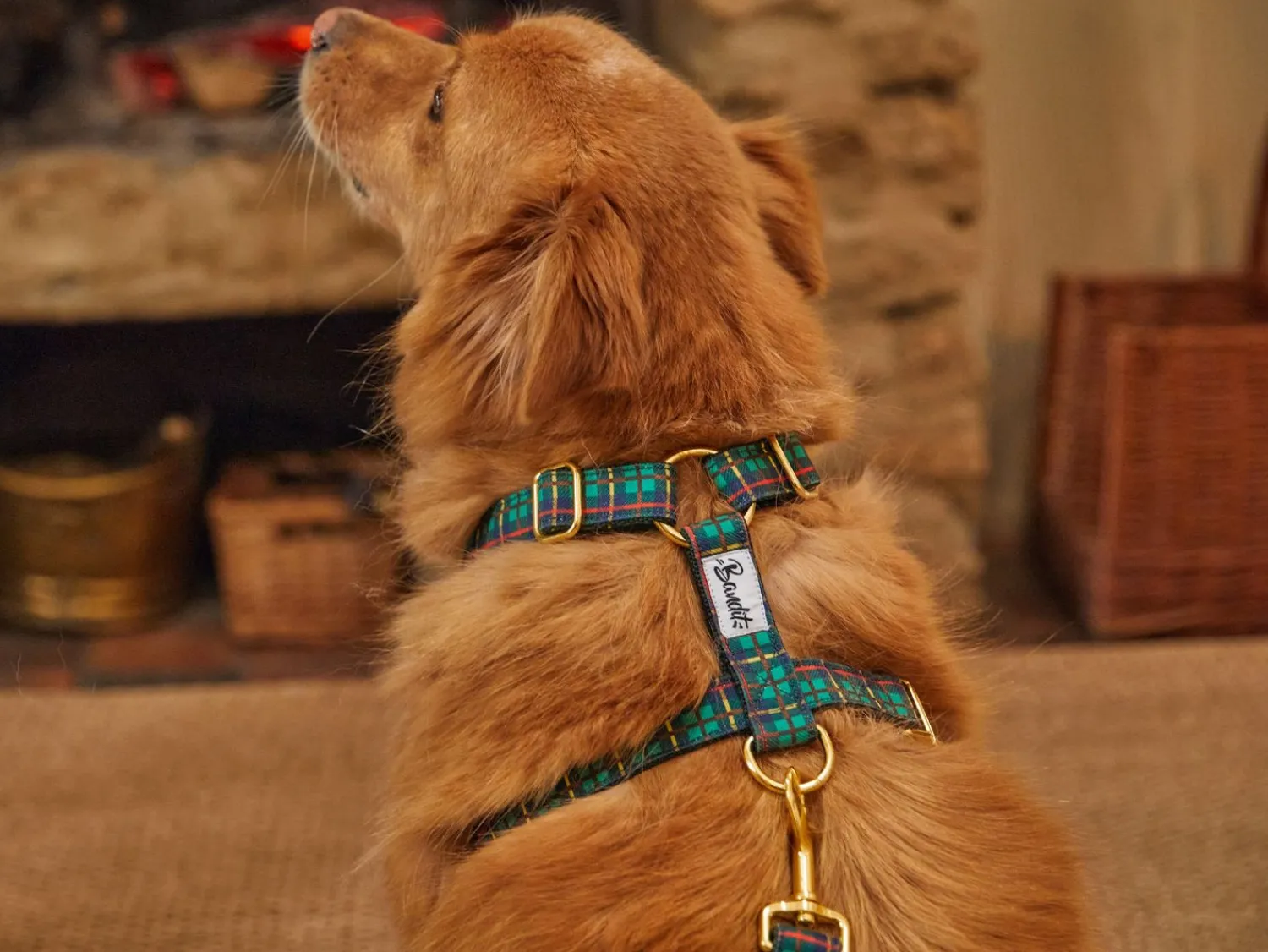 French Bandit Tartan Vert Online