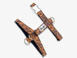French Bandit The Tigrrr Flash Sale