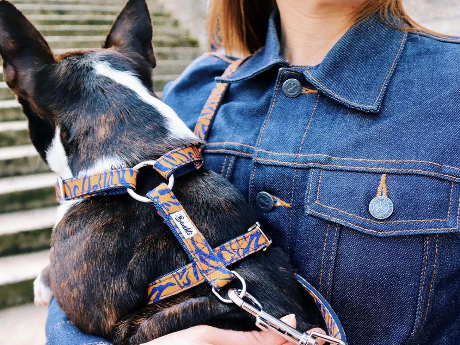 French Bandit The Tigrrr Flash Sale